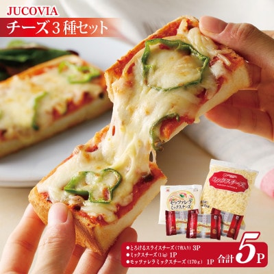【ムラカワチーズ】人気チーズ 3種セット 010B1637
