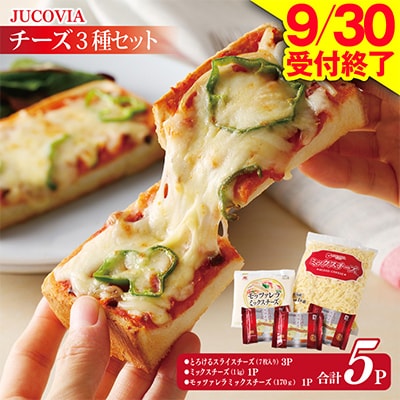 【9/30受付終了】人気チーズ 3種セット ムラカワチーズ