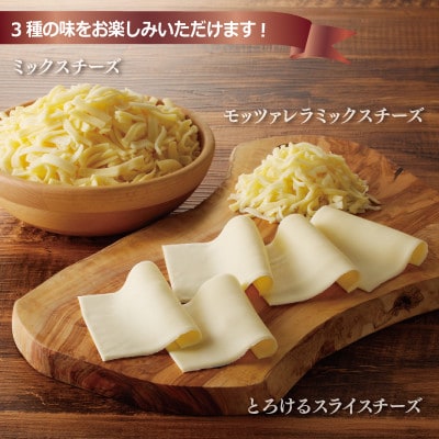 【ムラカワチーズ】人気チーズ 3種セット 010B1637