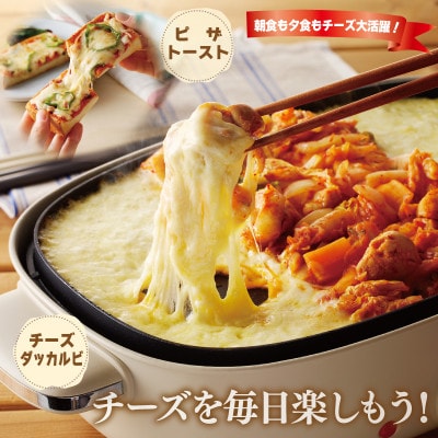 【ムラカワチーズ】人気チーズ 3種セット 010B1637