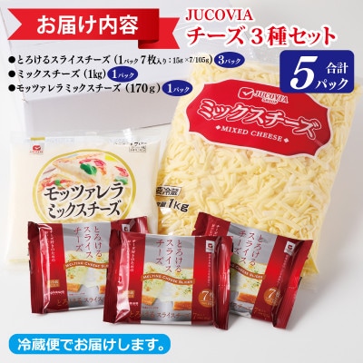 【ムラカワチーズ】人気チーズ 3種セット 010B1637