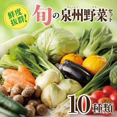 新鮮 野菜セット 詰め合わせ 10種類 国産 旬 お試し おまかせ お楽しみ 099H2491
