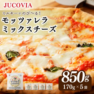 JUCOVIA モッツァレラミックスチーズ 850g 小分け 170g×5P 099H3527