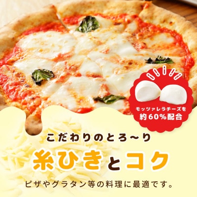JUCOVIA モッツァレラミックスチーズ 850g 小分け 170g×5P 099H3527