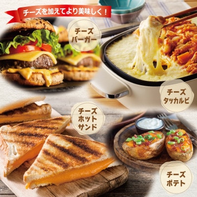 JUCOVIA チェダースライスチーズ 40枚/オランダゴーダーシュレッド 1kg 010B1640
