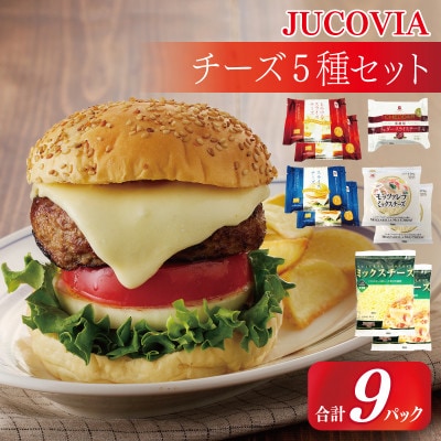 JUCOVIA 大満足 チーズ5種 食べ比べ 9Pセット ムラカワチーズ 010B1641