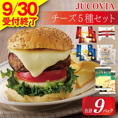 【9/30受付終了】JUCOVIA 大満足 チーズ5種 食べ比べ 9Pセット ムラカワチーズ