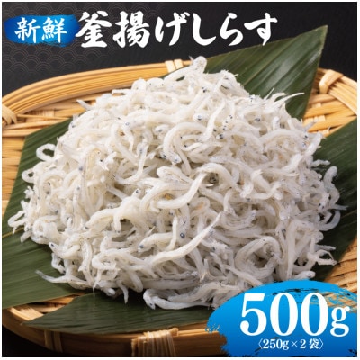 新鮮 釜揚げしらす 合計 500g 小分け 250g×2P 010B1505