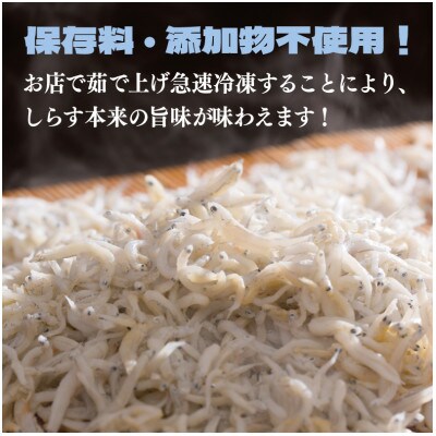 新鮮 釜揚げしらす 合計 500g 小分け 250g×2P 010B1505