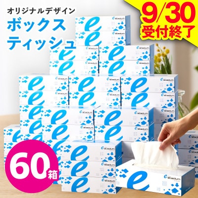 【9/30受付終了】ボックスティッシュ 60箱×400枚 泉佐野オリジナル 099H3422