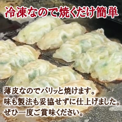 【自家製】パリッとジューシー!薄皮手作り餃子 88個 099H3518