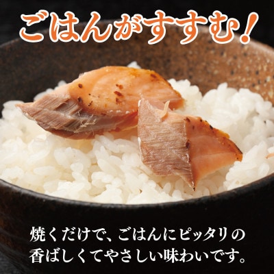 ごはんがすすむ!鮭の味噌漬け 800g(80g×10枚) 099H3601