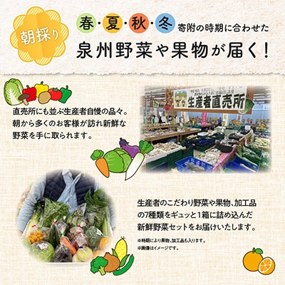 【毎月定期便】旬の泉州野菜 定期便 7種 詰め合わせ 全3回