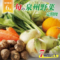【毎月定期便】旬の泉州野菜 定期便 7種類以上 詰め合わせ 全6回