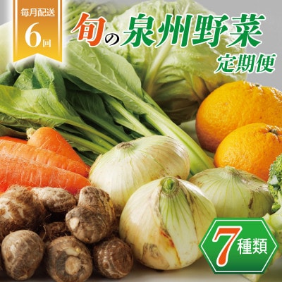 【毎月定期便】旬の泉州野菜 定期便 7種 詰め合わせ 全6回