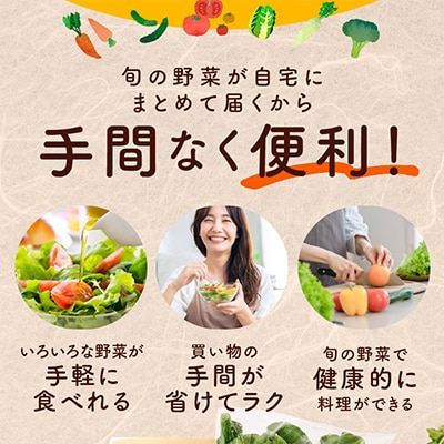 【毎月定期便】旬の泉州野菜 定期便 7種 詰め合わせ 全6回