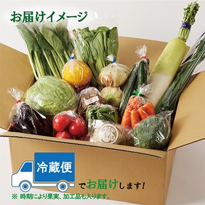 【毎月定期便】泉州野菜 定期便 15種類以上 詰め合わせ 新鮮 冷蔵 全3回