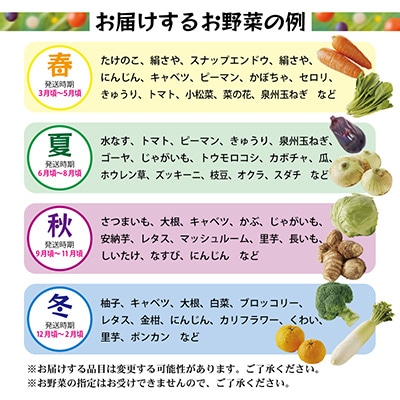 【毎月定期便】泉州野菜 定期便 15種類以上 詰め合わせ 新鮮 冷蔵 全3回