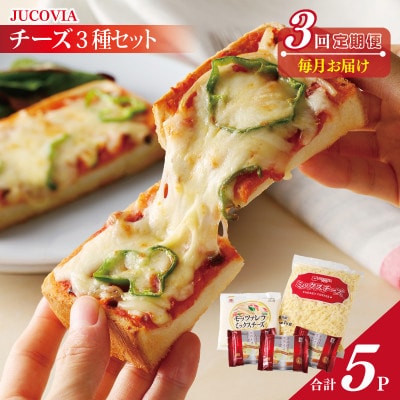 【毎月定期便】ムラカワチーズ 人気チーズ 3種セット 全3回 099Z182