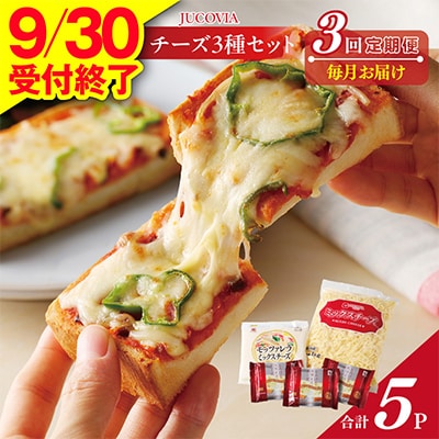 【毎月定期便】9/30受付終了 ムラカワチーズ 人気チーズ 3種セット 全3回
