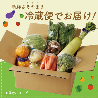 【毎月定期便】泉州野菜 7種 詰め合わせ 国産 新鮮 冷蔵発送 全12回 099Z188
