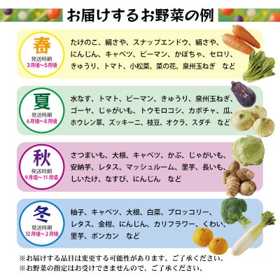 【毎月定期便】泉州野菜 7種 詰め合わせ 国産 新鮮 冷蔵発送 全12回 099Z188