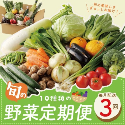 【毎月定期便】新鮮 野菜セット 10種類 詰め合わせ 全3回 099Z184