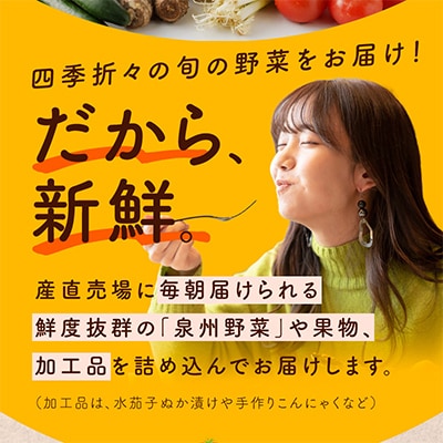 【毎月定期便】新鮮 野菜セット 10種類 詰め合わせ 全3回 099Z184