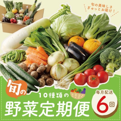 【毎月定期便】新鮮 野菜セット 10種類 詰め合わせ 全6回 099Z186