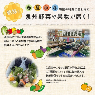 【毎月定期便】旬の泉州野菜 定期便 15種類以上 詰め合わせ 全12回 099Z189