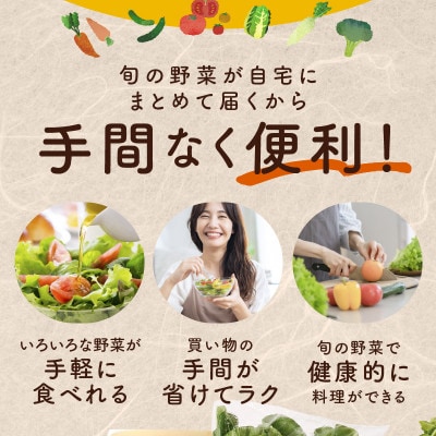 【毎月定期便】旬の泉州野菜 定期便 15種類以上 詰め合わせ 全12回 099Z189