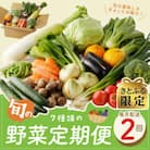 【毎月定期便】【さとふる限定】新鮮野菜 7種類以上 詰め合わせ 全2回 099Z266