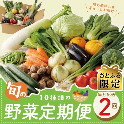 【毎月定期便】【さとふる限定】新鮮野菜 10種類 詰め合わせ 全2回 099Z267