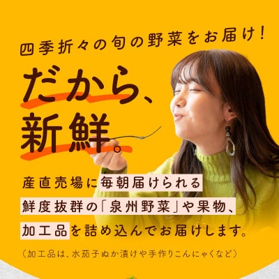 【毎月定期便】泉州野菜 15種類以上 詰め合わせ 国産 新鮮 099Z190全4回