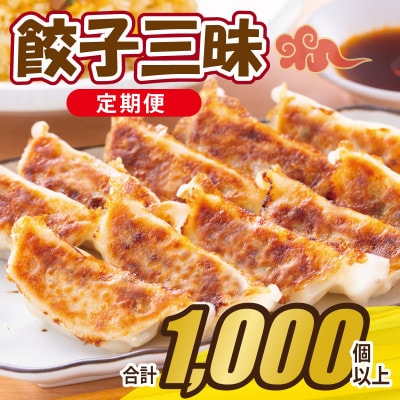 【毎月定期便】【合計1000個以上】餃子三昧 自家製 薄皮 手作り 099Z335全12回