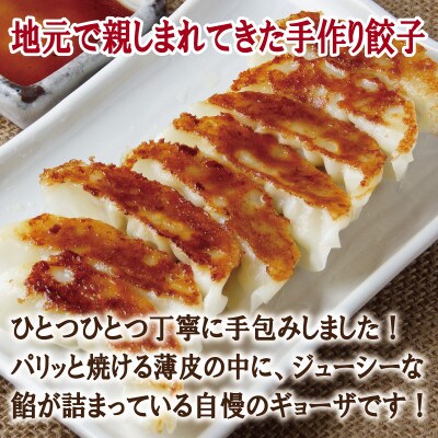 【毎月定期便】【合計1000個以上】餃子三昧 自家製 薄皮 手作り 099Z335全12回