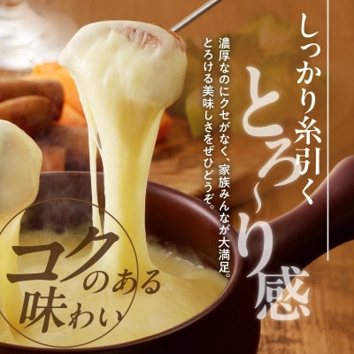 【毎月定期便】JUCOVIA ミックスチーズ 2kg 小分け 099Z339全6回