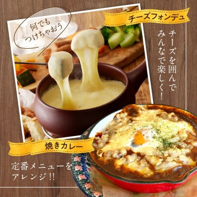 【毎月定期便】JUCOVIA ミックスチーズ 2kg 小分け 099Z339全6回