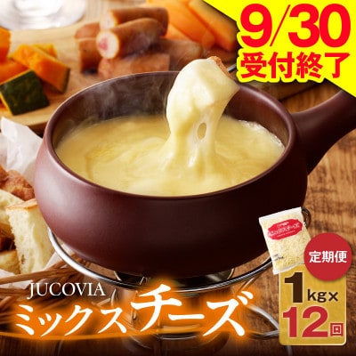 【毎月定期便】9/30受付終了 JUCOVIA ミックスチーズ 1kg 小分け全12回