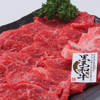やわらか熟成肉 黒毛和牛 牛肉 焼肉食べ比べセット 700g(350g×2)015B209