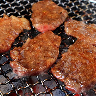 やわらか熟成肉 黒毛和牛 牛肉 焼肉食べ比べセット 700g(350g×2)015B209