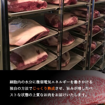 国産牛熟成ロースすき焼きしゃぶ用 700g(350g×2)010B626