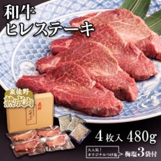 厳選ヒレステーキ 4枚 合計480g 大人気!オリジナル梅塩3P付 099H907
