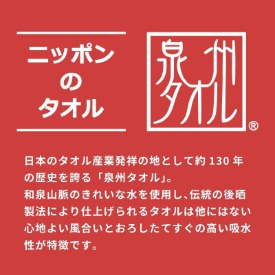 シンジカトウ「お楽しみ袋」 (小) G2206