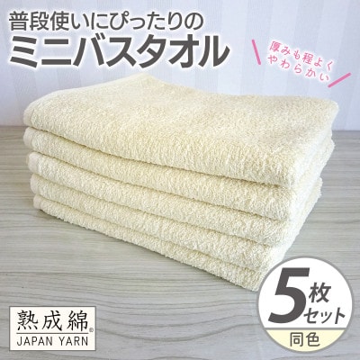 普段使いにぴったりのミニバスタオル 5枚セット 黄肌色 泉州タオル G2272