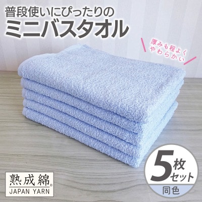 普段使いにぴったりのミニバスタオル 5枚セット サックス 泉州タオル G2275