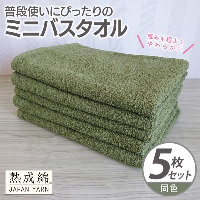 普段使いにぴったりのミニバスタオル 5枚セット グリーン 泉州タオル G2277