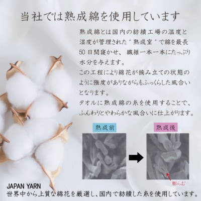 泉州タオル「美肌小町(ロングパイル)フェイスタオル」5枚セット