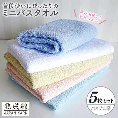泉州タオル「普段使いにぴったりのミニバスタオル」5枚セット(パステル系)
