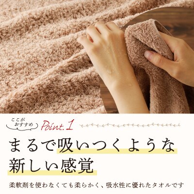 MAISON BLANC バスタオル テラコッタ 5枚 099H3321